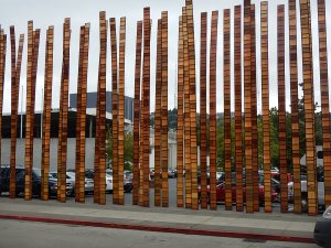 Trolley Bus Tour Seattle 1