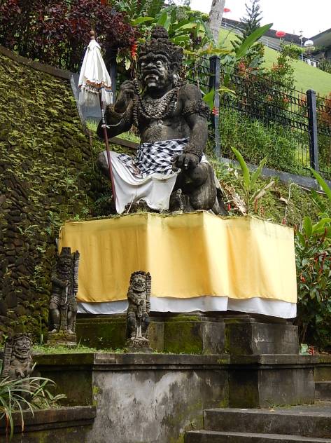 Steve on his way to a home match!