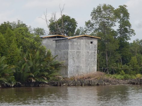 Bird nest collection house