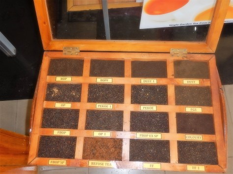 All you need to know about tea!